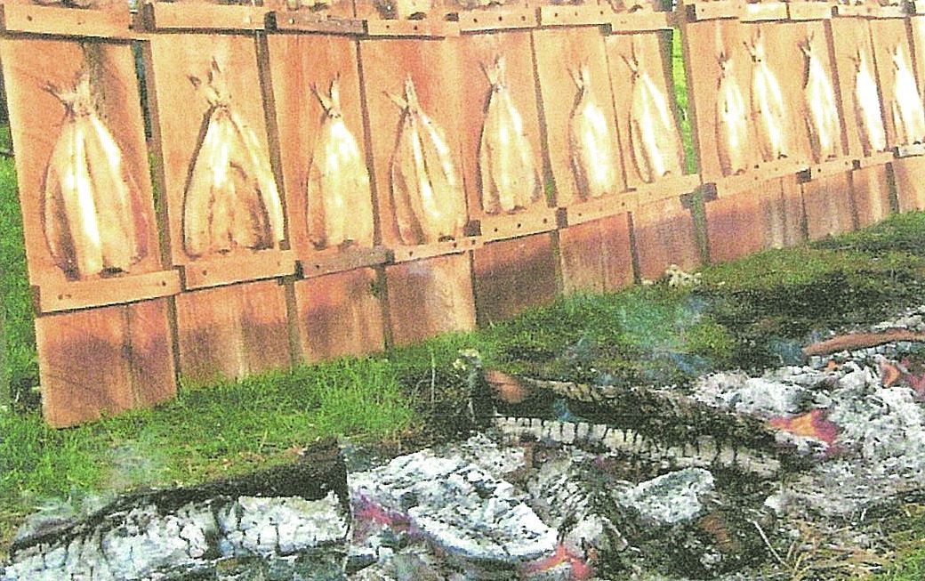 Fresh planked shad being toasted by hot burning embers. (John Punola)