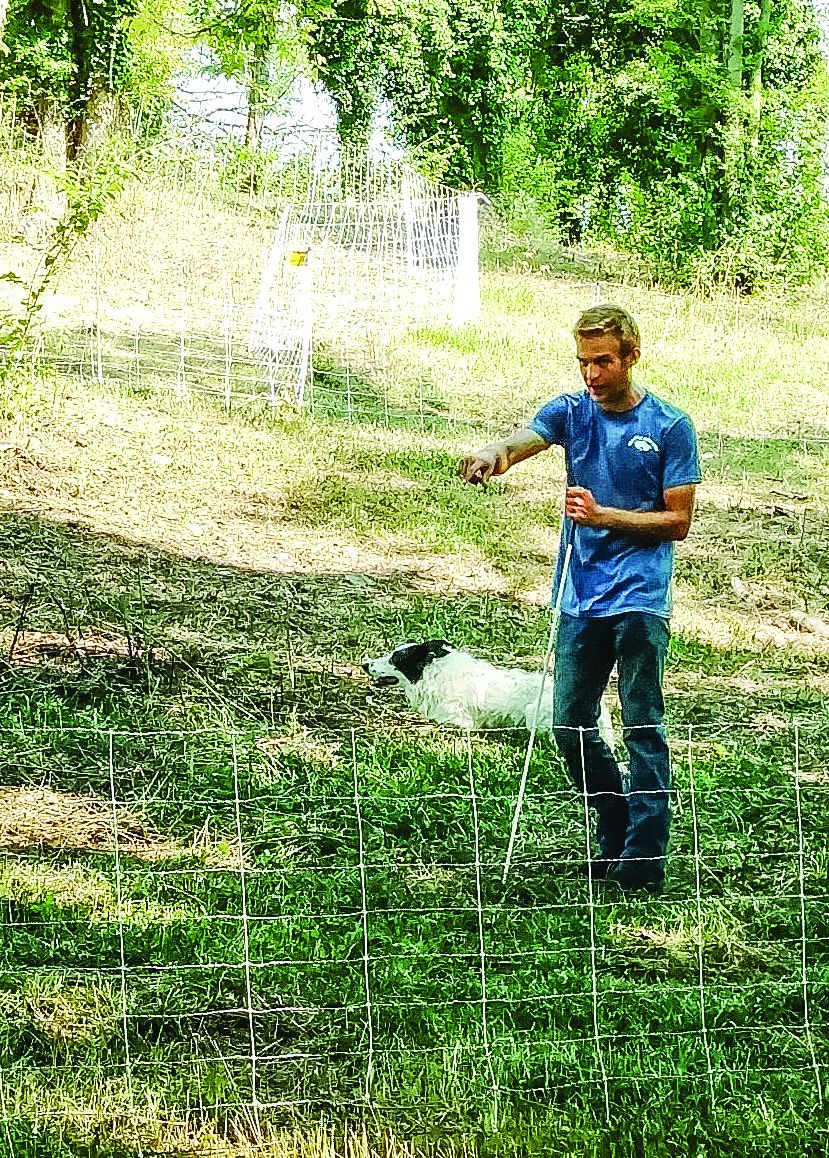 Zach Richardson and Duggie prepare to demonstrate their skills at the Meet the Chew Crew event.