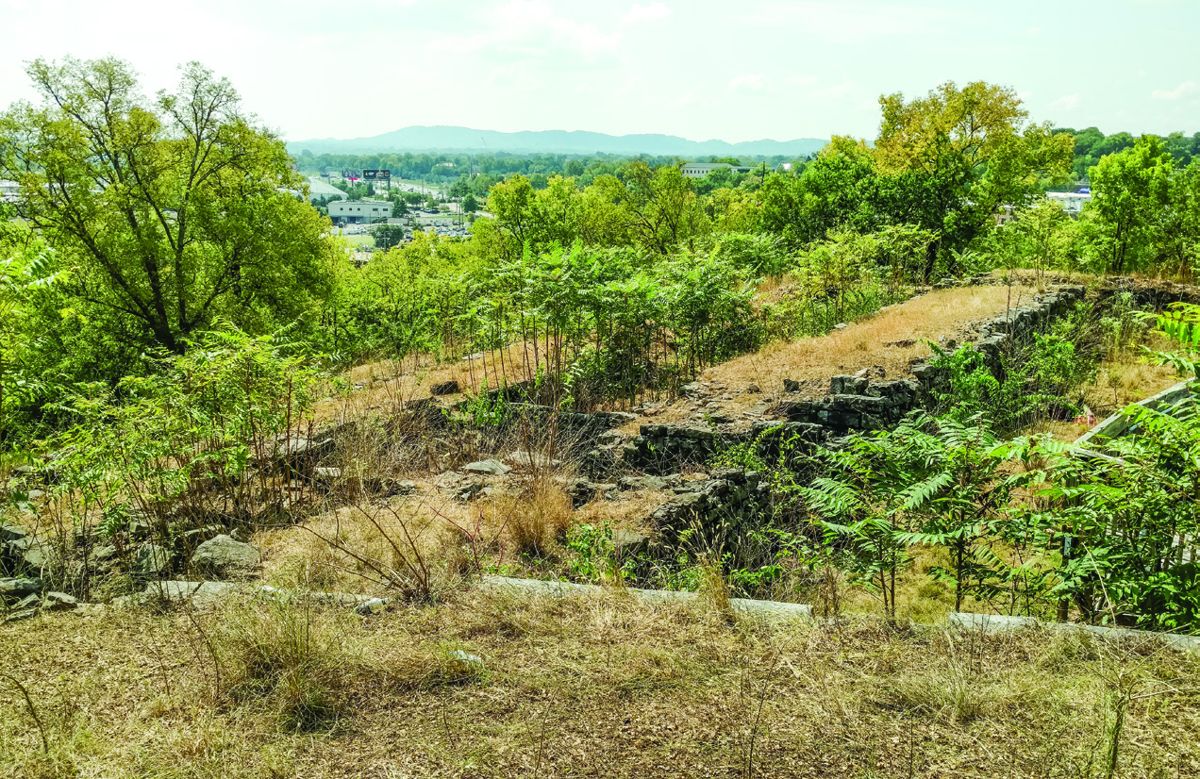 The west bastion interior after targeted grazing.