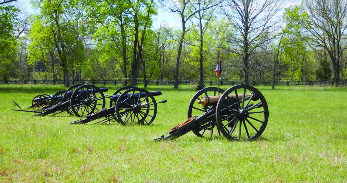 Line of artillery ready for action at the Triune reenactment.