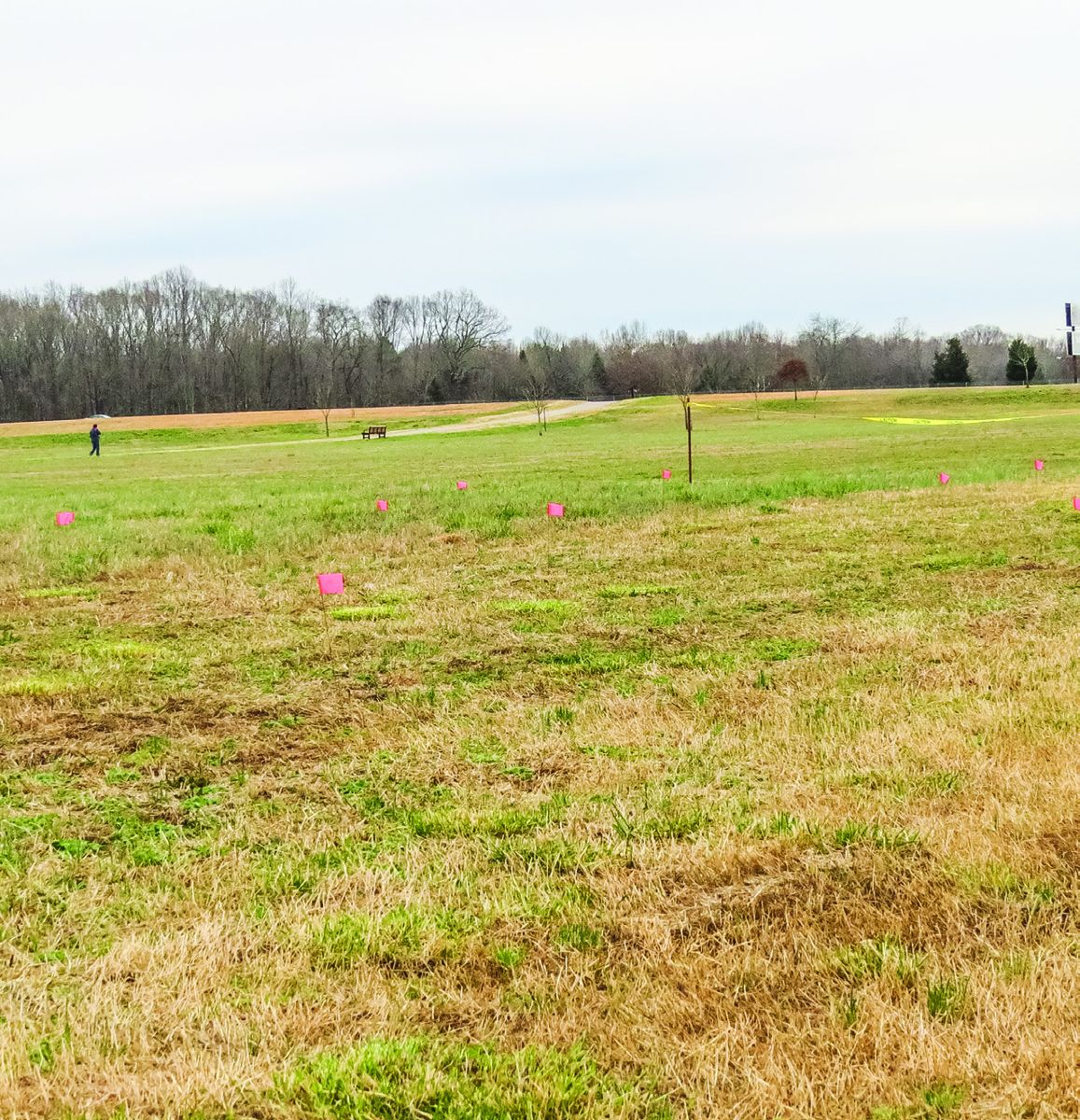 Photos of the potential site of up to ninety, unmarked Confederate (Photos by Gregory L. Wade)