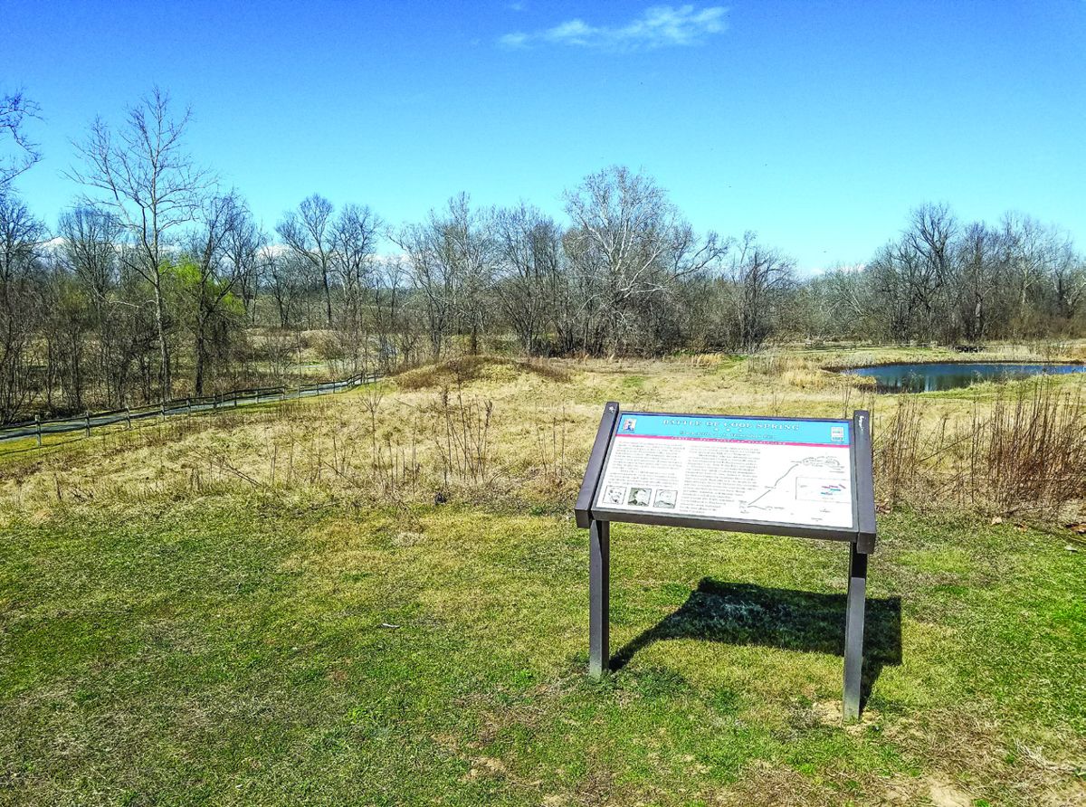 The Cool Spring Battlefield in Clarke County, Va. (Jonathan A. Noyalas)