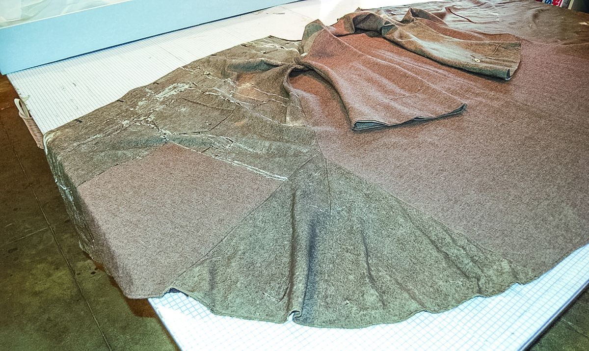 The coat before start of treatment.