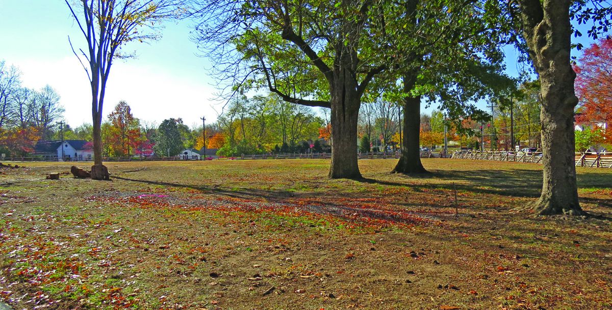 Photo looking south with the current split rail fence. Approximate location of the eventual six artillery pieces representing war time cannon from Kentucky and Ohio. Carter house is to the right and slightly north other side of Columbia Pike.