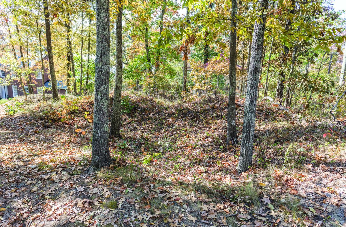 Confederate cannon emplacement within a few yards of Polk’s monument.