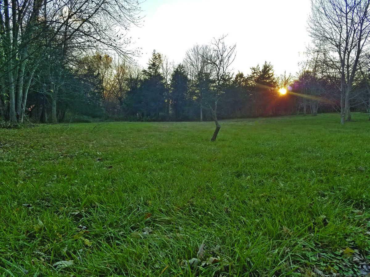 the battle stories in the center of town and at the Virginia Museum of the Civil War’s signature battlefield park.