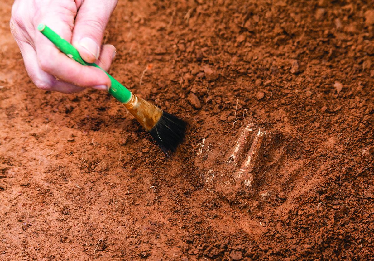 Greg Katz (Senior Archaeologist, Louis Berger Group) uncovers the foot of an amputated limb. (Kate D. Sherwood, Smithsonian Institution)