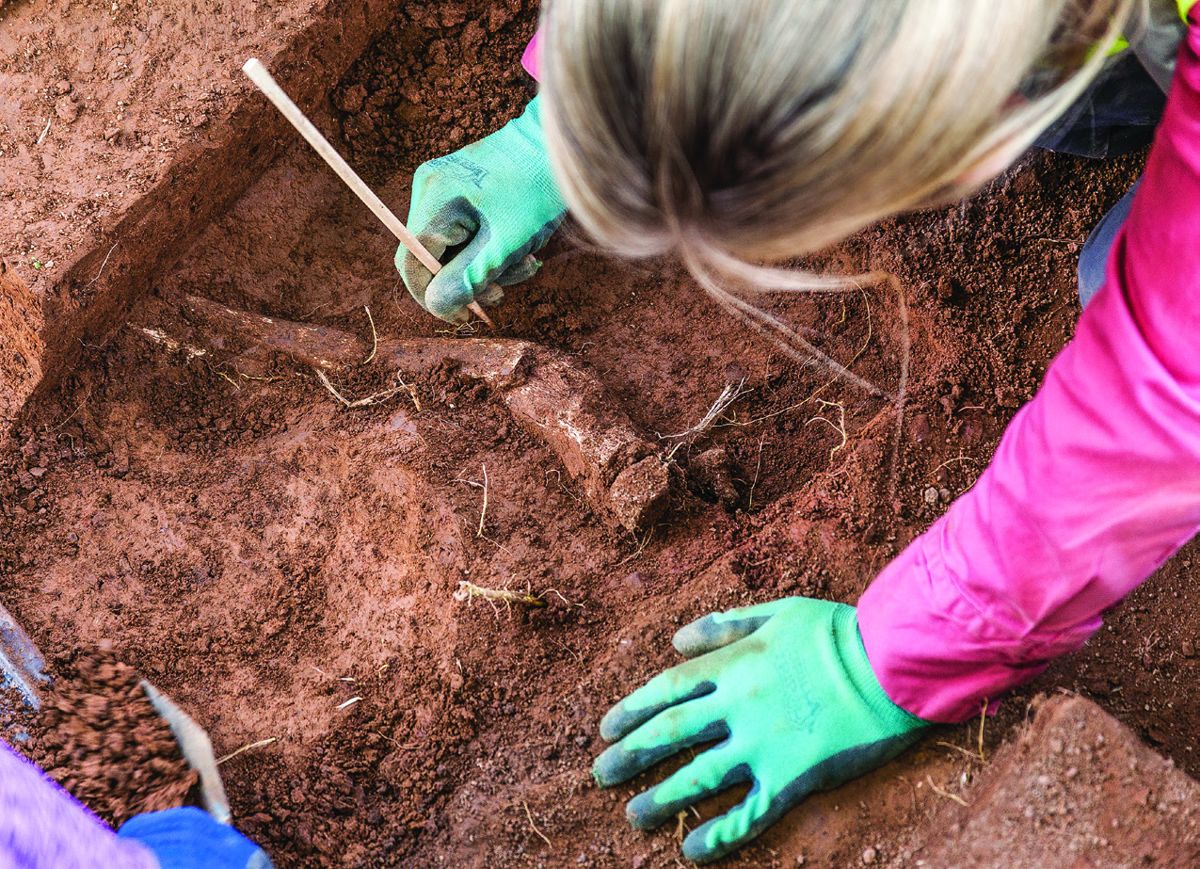 Erin Godwin (Field Technician, Louis Berger Group) excavates an amputated limb. (Kate D. Sherwood, Smithsonian Institution)