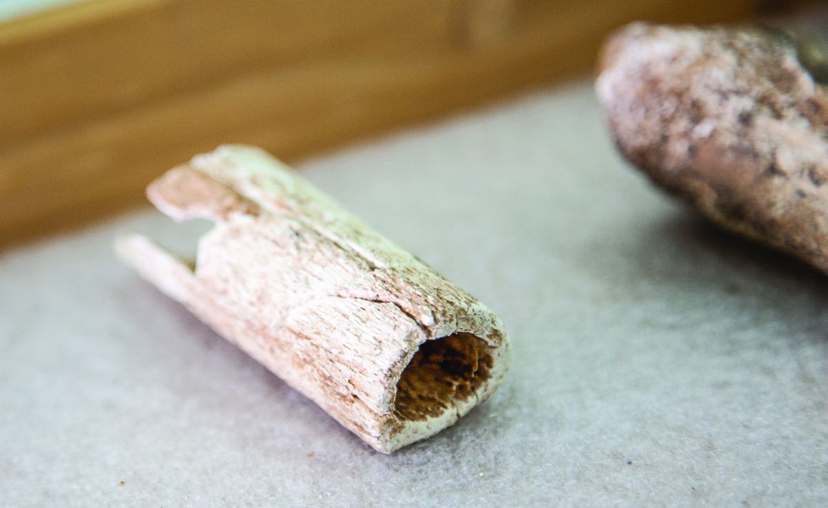 Fragments of bone found in 2014 were pieced back together showing part of a limb that clearly had been amputated. This bone inspired additional research and a full archaeological (National Park Service, photo by Nathan King)