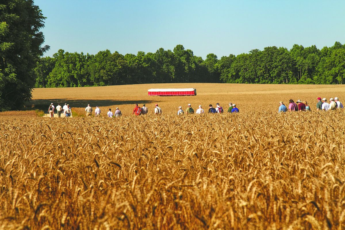 A group of visitors explores the Civil War’s Gaines’ Mill battlefield near Richmond, Virginia.