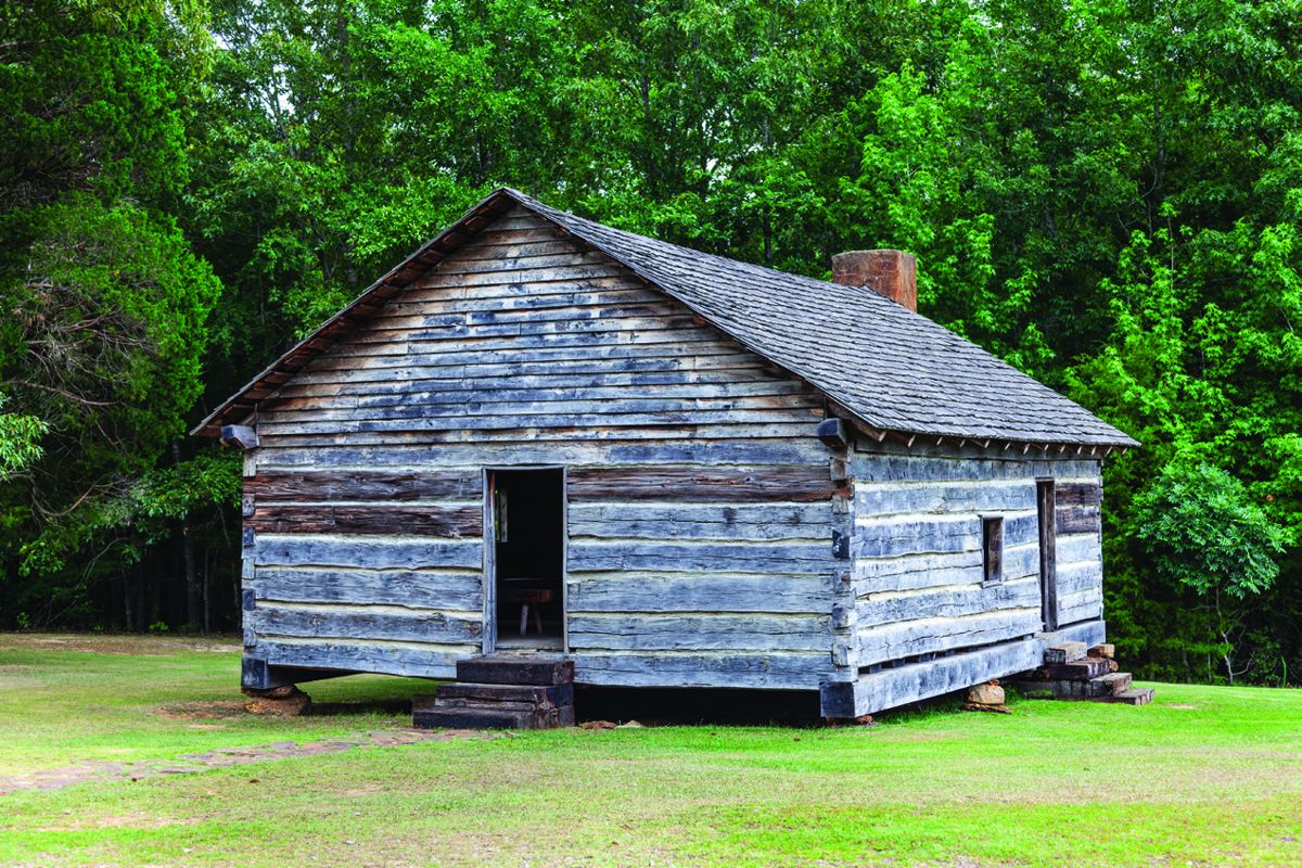 Thoughts on Conrad Wise Chapman and the 156th Shiloh Anniversary — photograph 3 from the original article