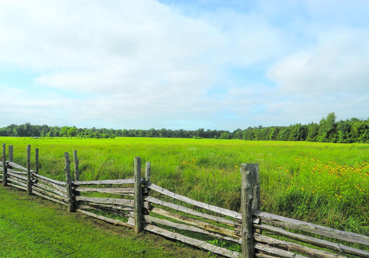 Looking southwest from the Nashville Pike, terrain crossed by Confederates in the assault on
