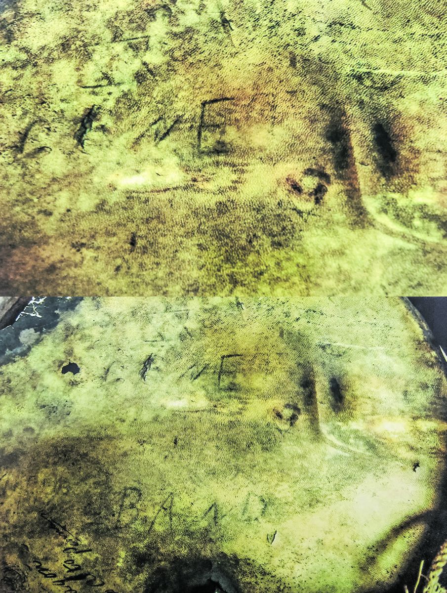 Tale of Two Eagles — photograph 3 from the original article