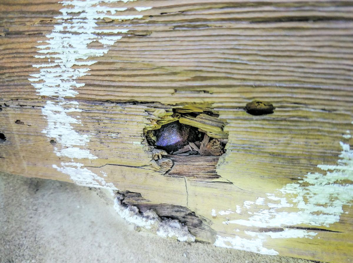 3-inch Hotchkiss canister shot embedded in the wood beam.