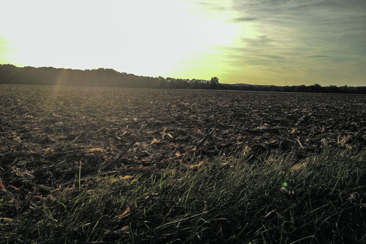 The Slaughter Pen Farm is more than a big, open field.