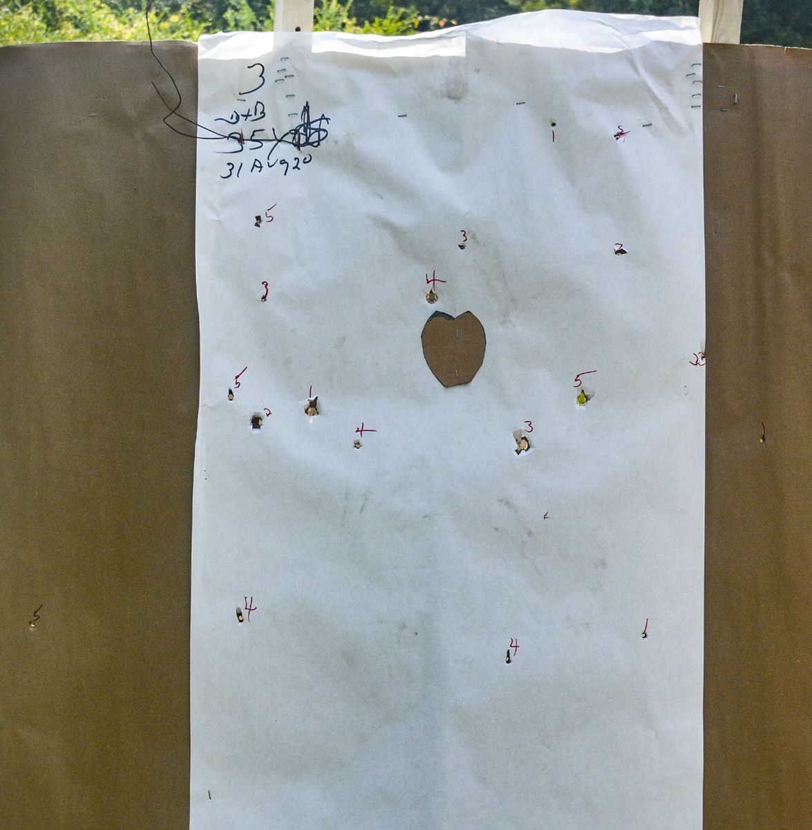 More on Buckshot — photograph 2 from the original article