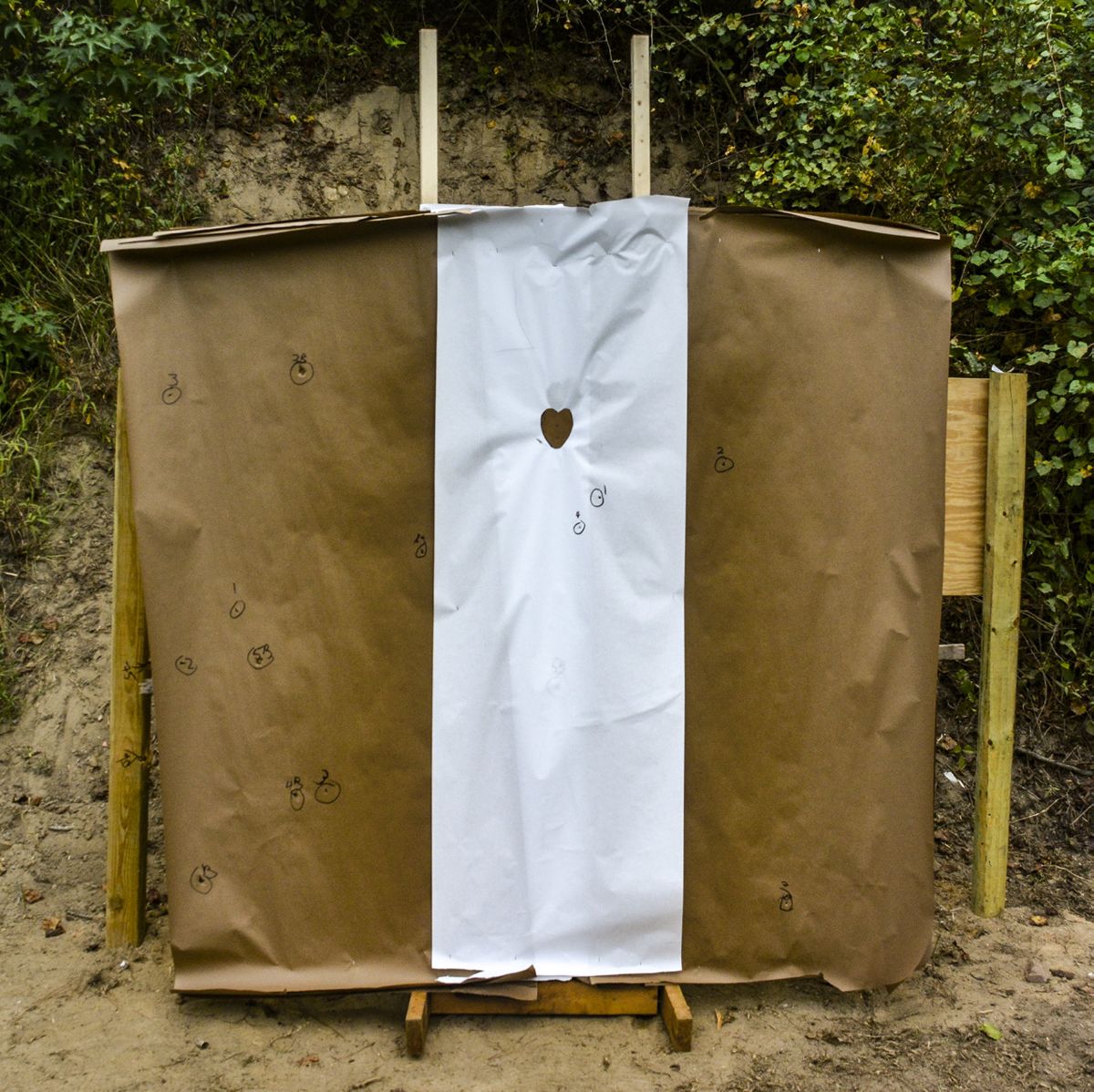More on Buckshot — photograph 4 from the original article