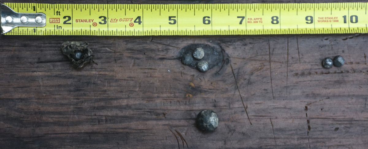Fired buck and ball. Note one buckshot still in wrapper (top left) recovered at 85 yards.