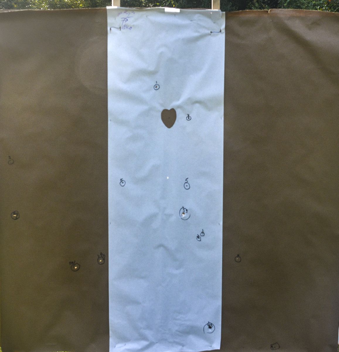 More on Buckshot — photograph 6 from the original article