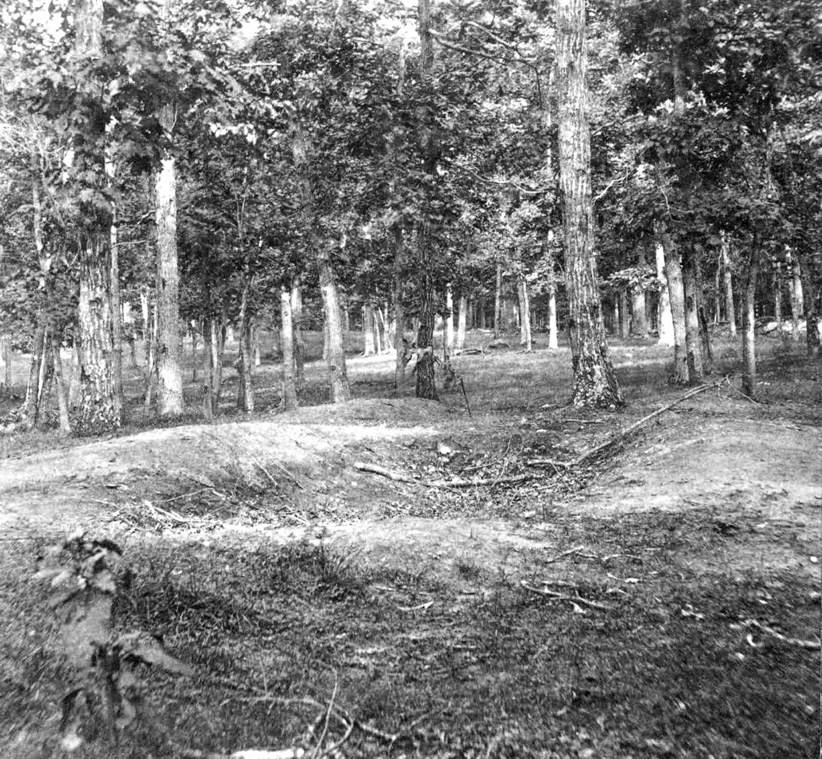 Burial trenches on Culp’s Hill, 1876. C.J. Tyson/Boardman Collection.