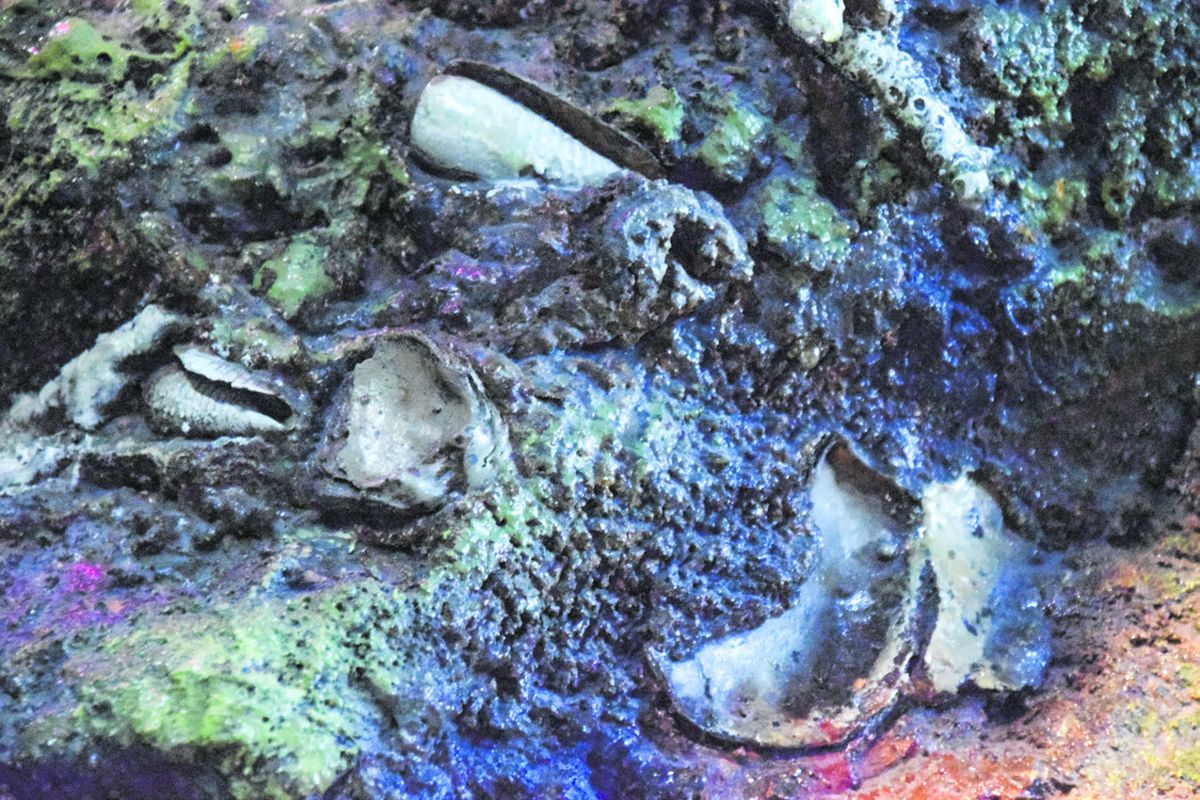 Concretion is a substance formed when iron corrodes in saltwater. It typically consists of iron, salt, sand, and sea life.