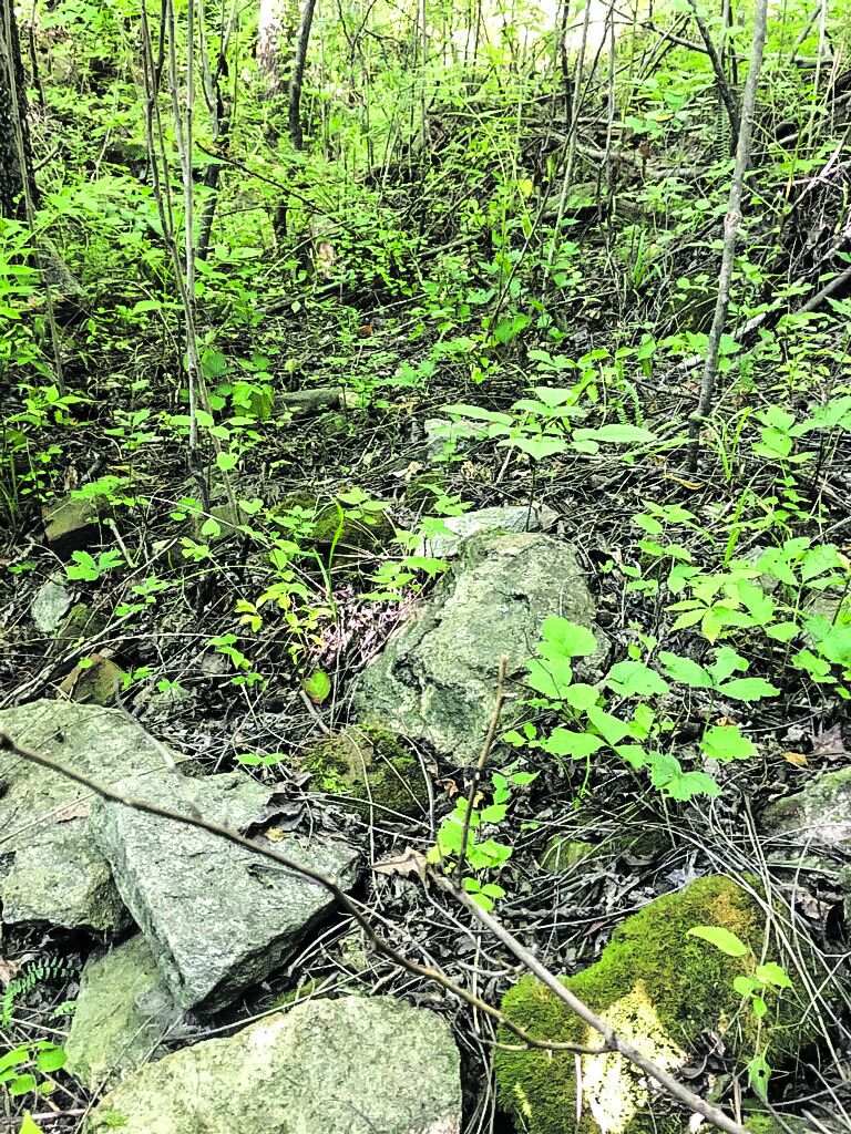 Myer’s Hill icehouse pit.