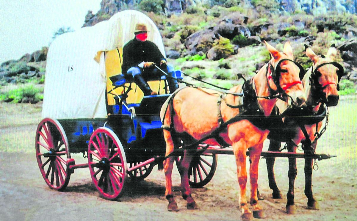 This is what an 1863 Union army supply wagon looked like, brightly painted red, white, and blue. It was pulled by either two horse, or two mules, as it supposedly did hauling Union gold through Pennsylvania. (NPS Fort Davis, Texas)