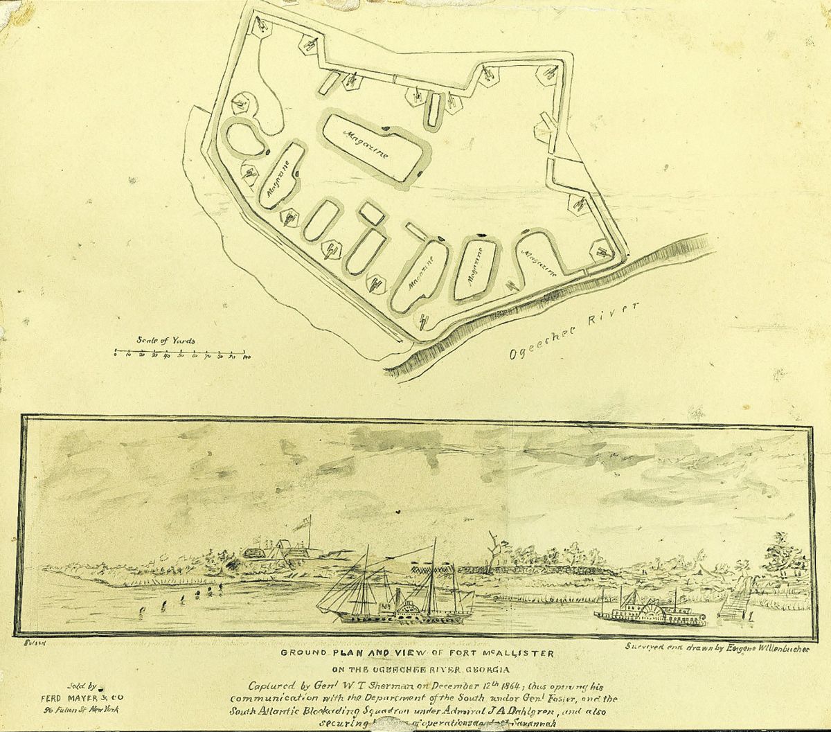 Smithsonian Institute: Open Access Images — lead photograph from the original article