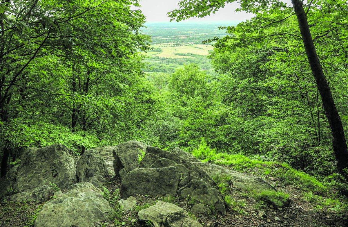 Watching Gettysburg — lead photograph from the original article