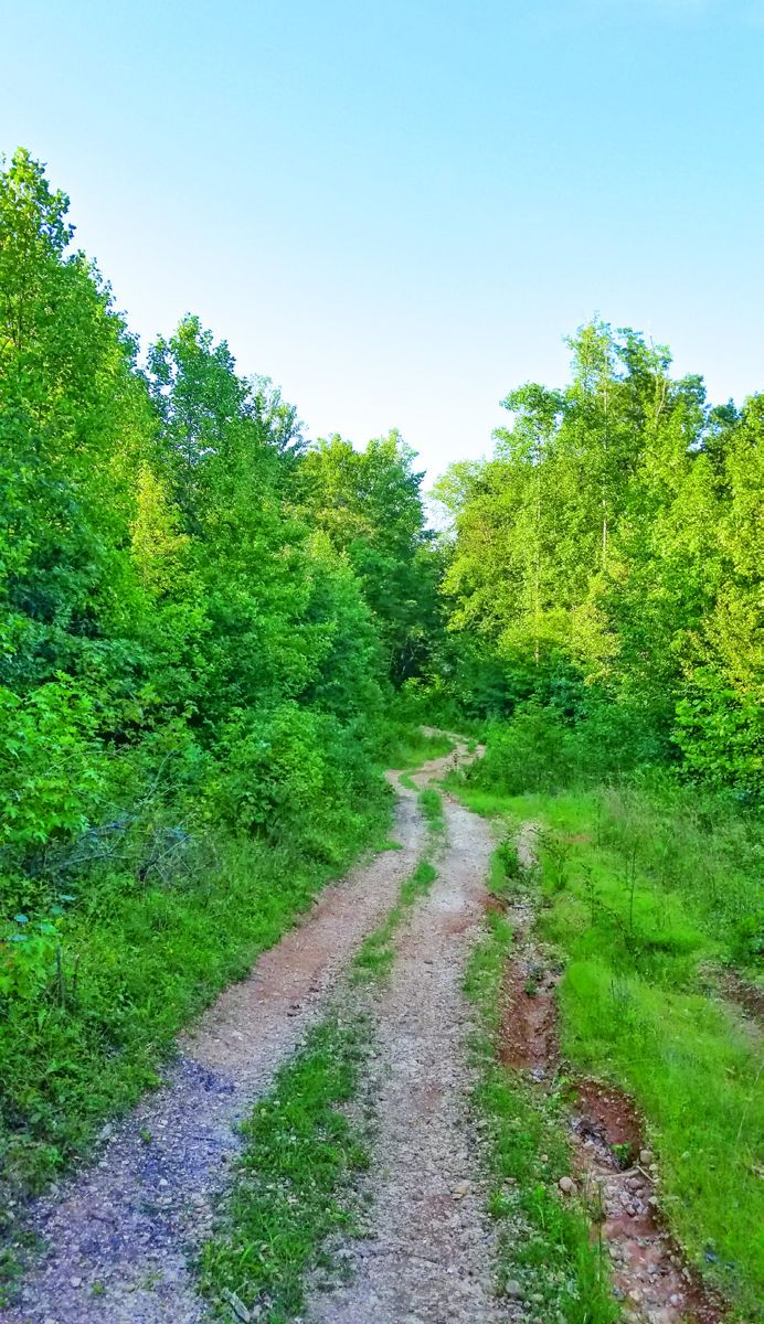 CVBT has saved 73 acres at Myer’s Hill battlefield, the site of an important clash during the second week’s fighting around Spotsylvania Court House.