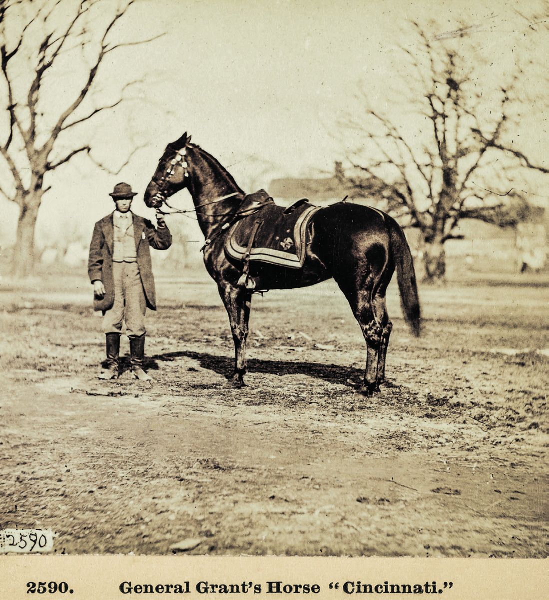 Gen. Ulysses S. Grant’s horse Cincinnati. This photograph was taken at City Point, Va., in March 1865. Library of Congress.