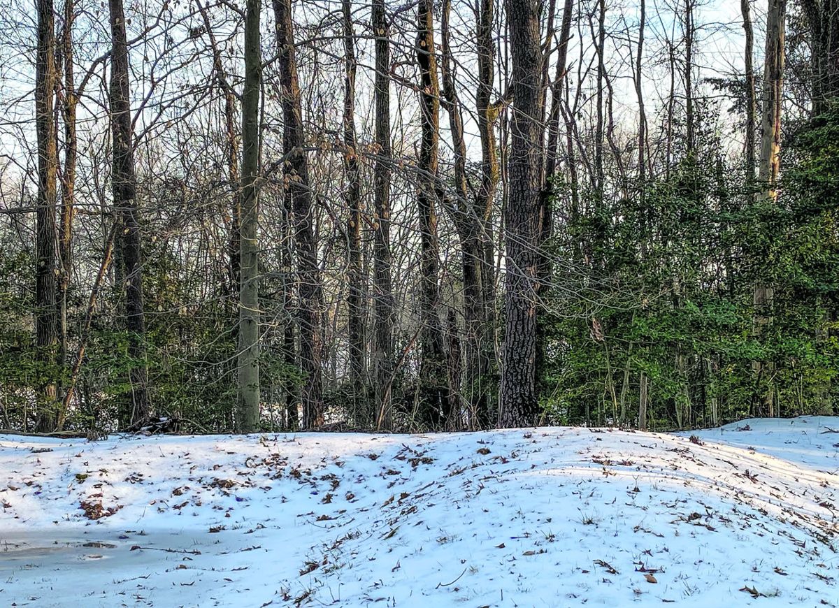 Are those earthworks or just piles of dirty snow?