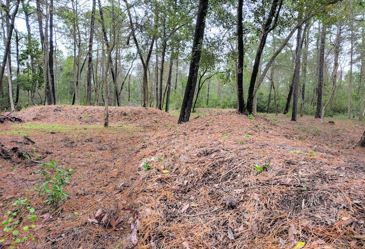 Confederate earthworks at the Joseph Ryder Lewis Jr. Civil War Park. Photo by Chris E. Fonvielle Jr., Jan. 12, 2021.