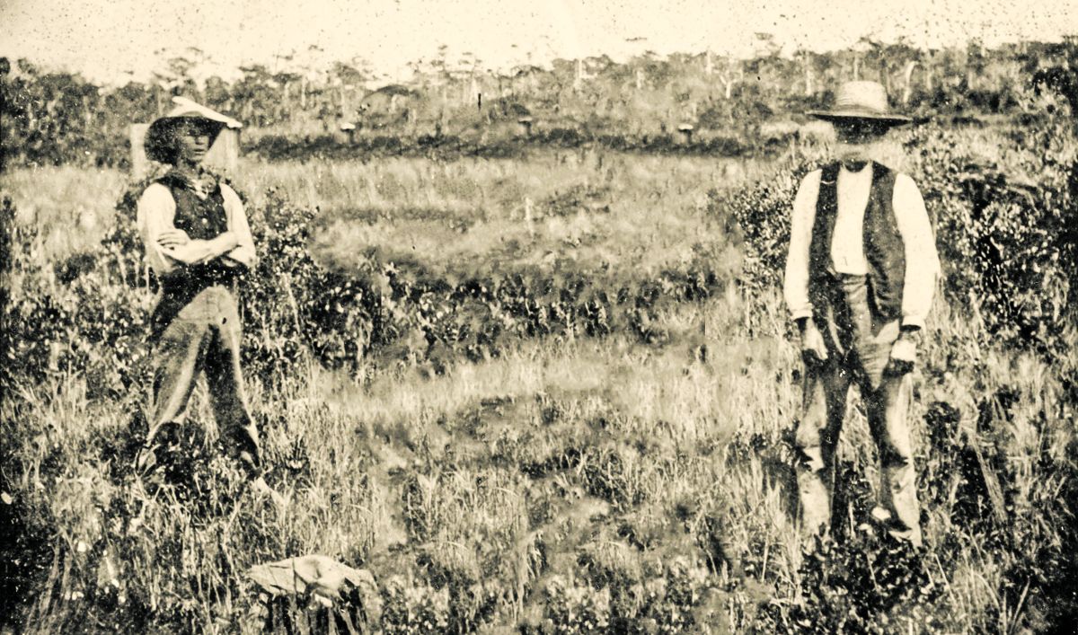James Burriss and son with the Confederate earthworks in the background. Taken about 1880, this is the earliest known photograph of the Sugar Loaf lines.