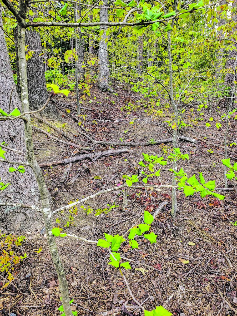 Remnant of a trench at Woodbury Manor.