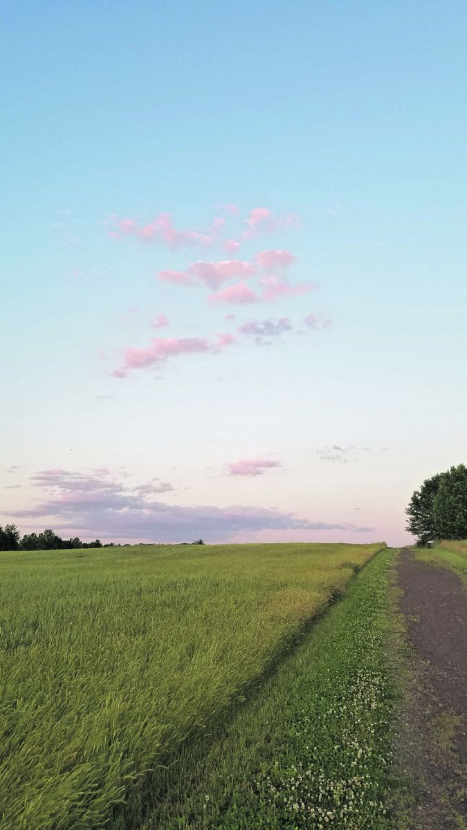 The fields of First Day Chancellorsville battlefield hold the stories of medical men from the Civil War.