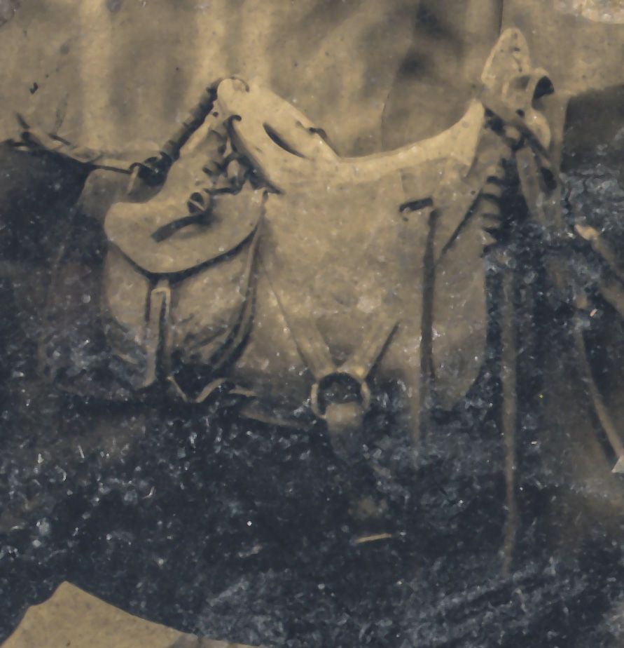 Enlargement of saddle from photograph below.