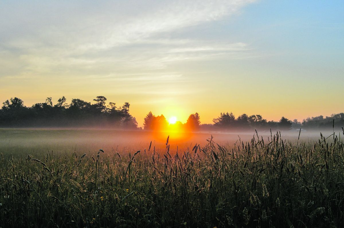 Cold Harbor sunrise. The latest phase of the Trust’s “Gaines’ Mill – Cold Harbor Saved Forever Campaign” will protect another 99 acres at the overlapping battlefields. Photo by Matthew Huntley.