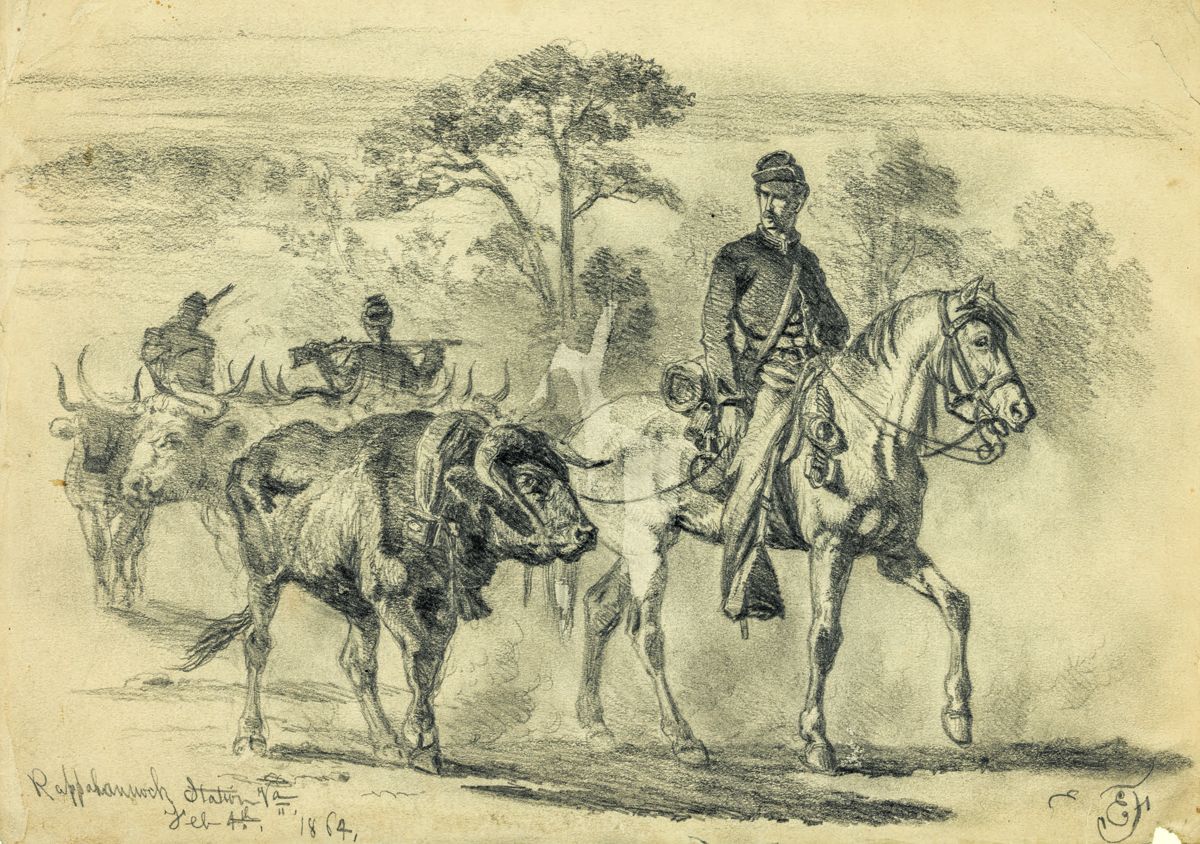 Beef for the army on the march. “Rappahannock Station, Va.” Edwin Forbes, 1839-1895, artist.