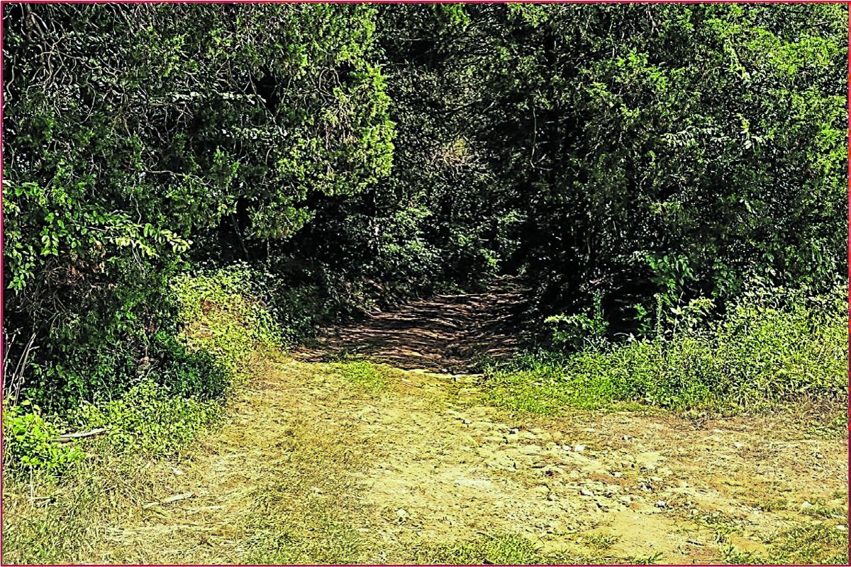 Wilderness Turnpike Road preserved by CVBT.
