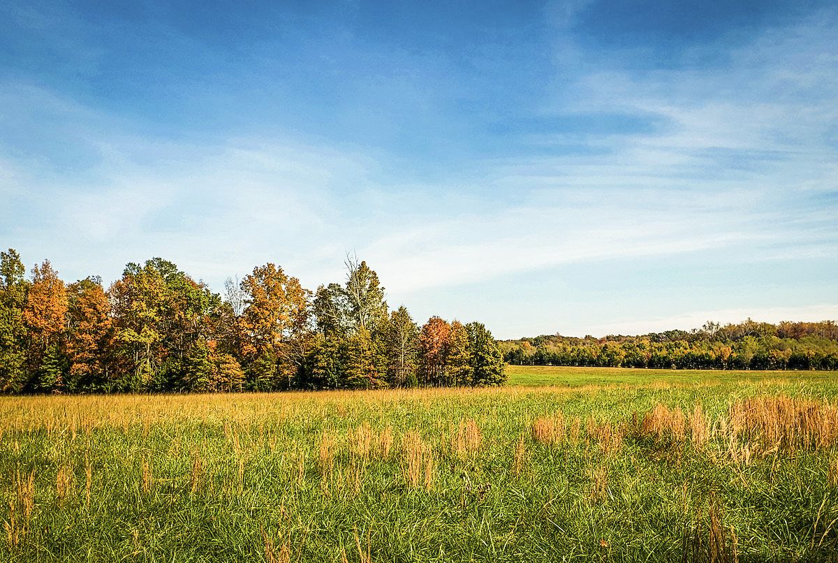 Culpeper’s Brandy Station (pictured) and Cedar Mountain Battlefields make up the prospective location for a new state park in Virginia. (Photo by Jennifer Michael)