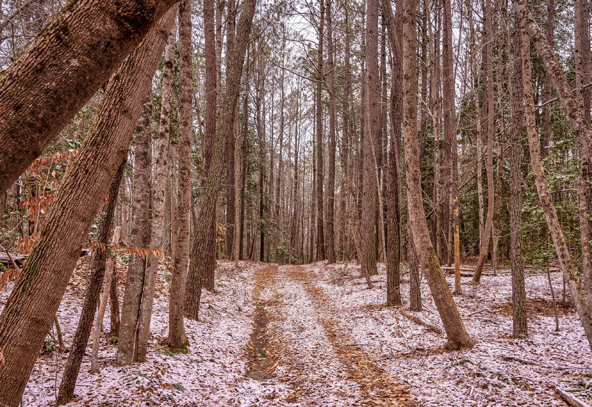 The James Custis Farm at the Williamsburg Battlefield in York County, Va. (Photo by Robert James)