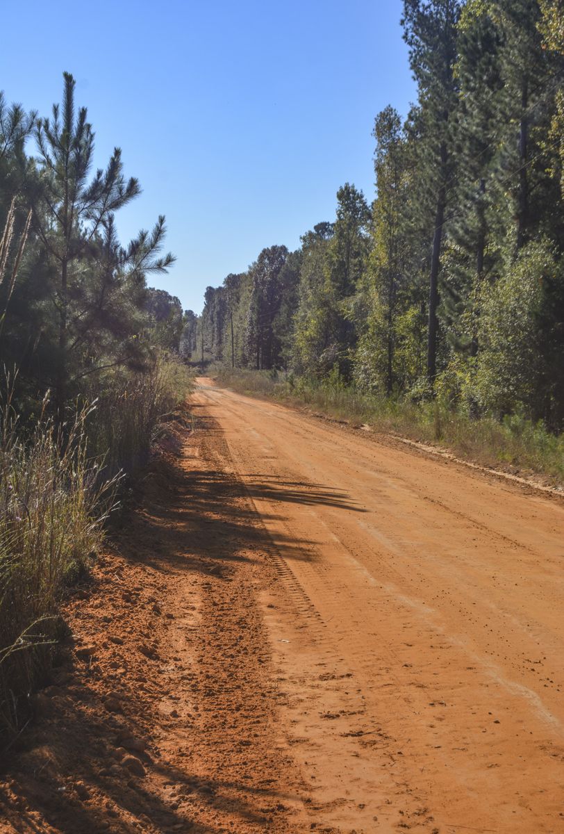 Dirt country road to Tarver’s Mill.