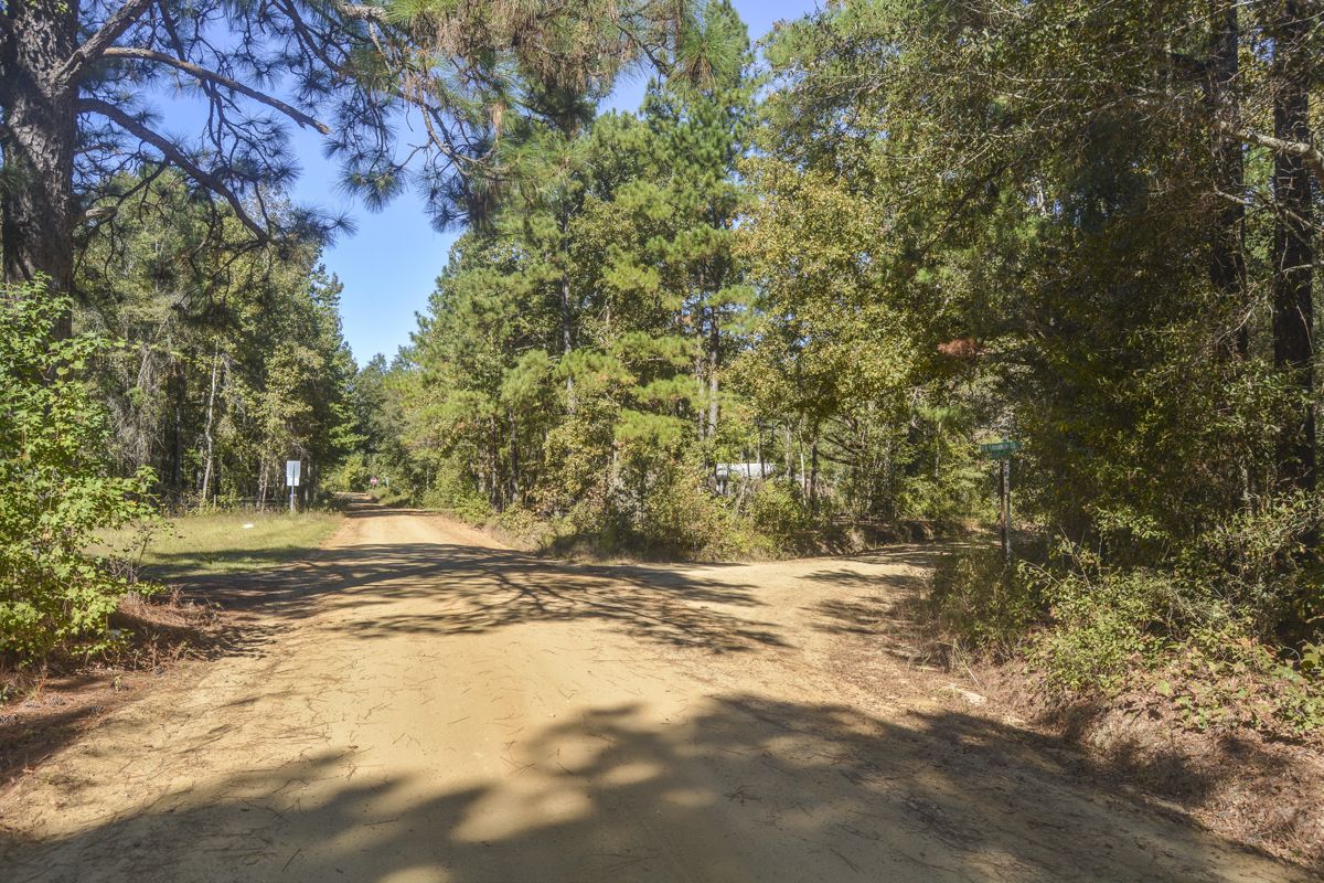 In some areas the modern paved highway follows the historic route of the Old Savannah Road. In other places the historic route remains much as it was in 1864.