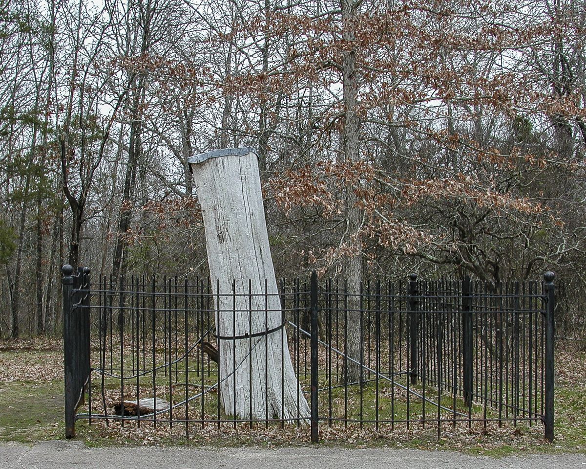 The tree stump in 2001. (Jack W. Melton Jr.)
