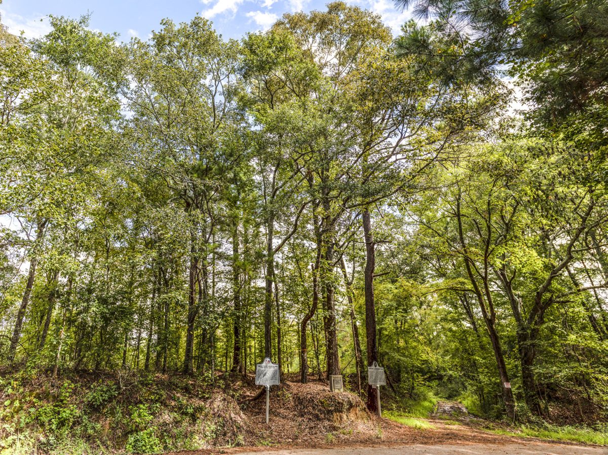 Champion Hill Battlefield in Hinds County, Miss. Photo by Mike Talplacido.