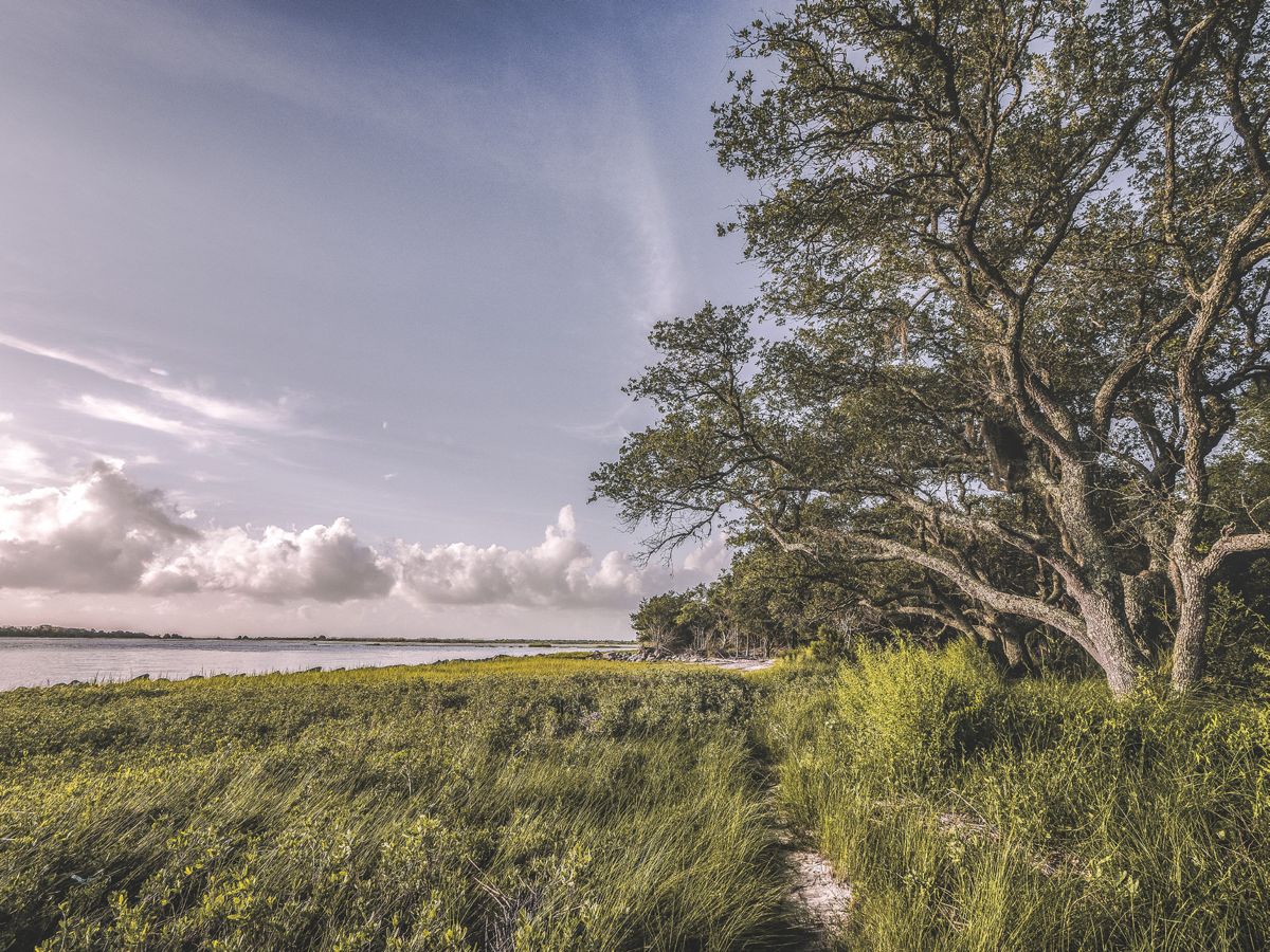 Fort Johnson in Charleston, S.C. Photo by Matt Brant.