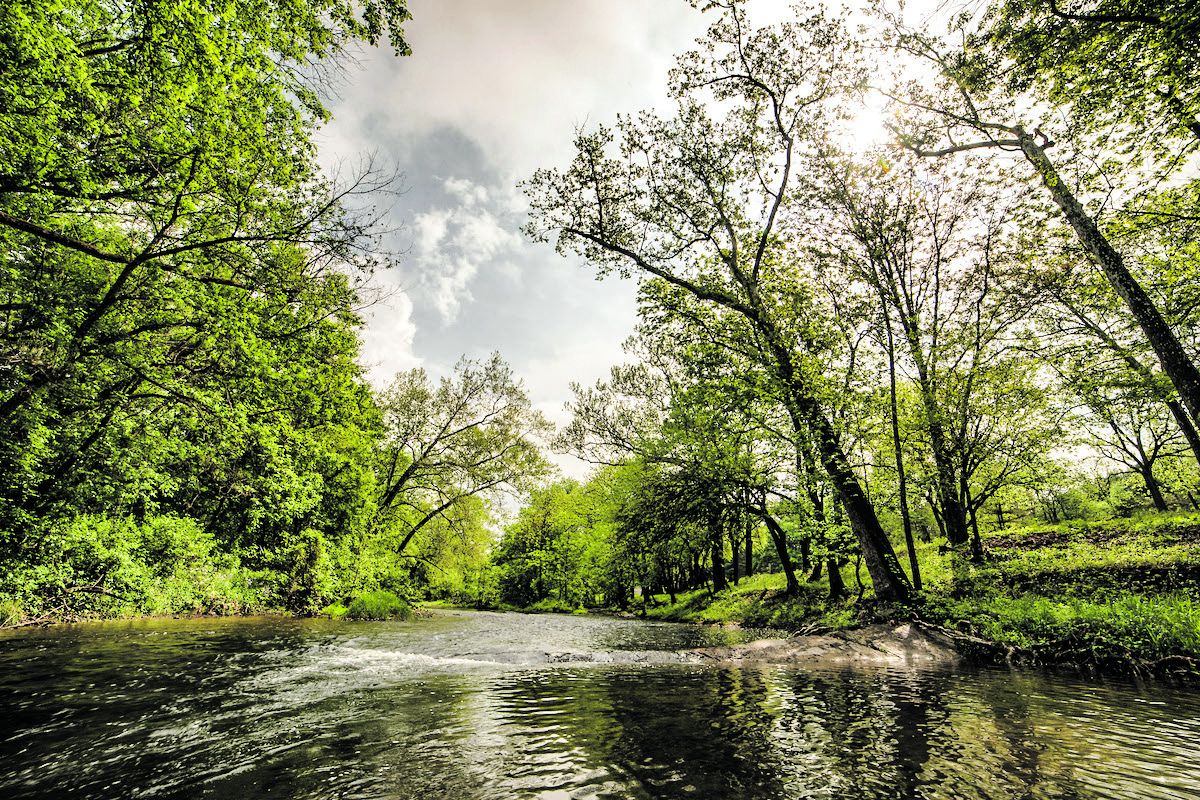 The Trust looks to move quickly on its latest campaign, as an opportunity to save land at the Cedar Creek Battlefield (seen here) expires in January. Photo by Buddy Secor.