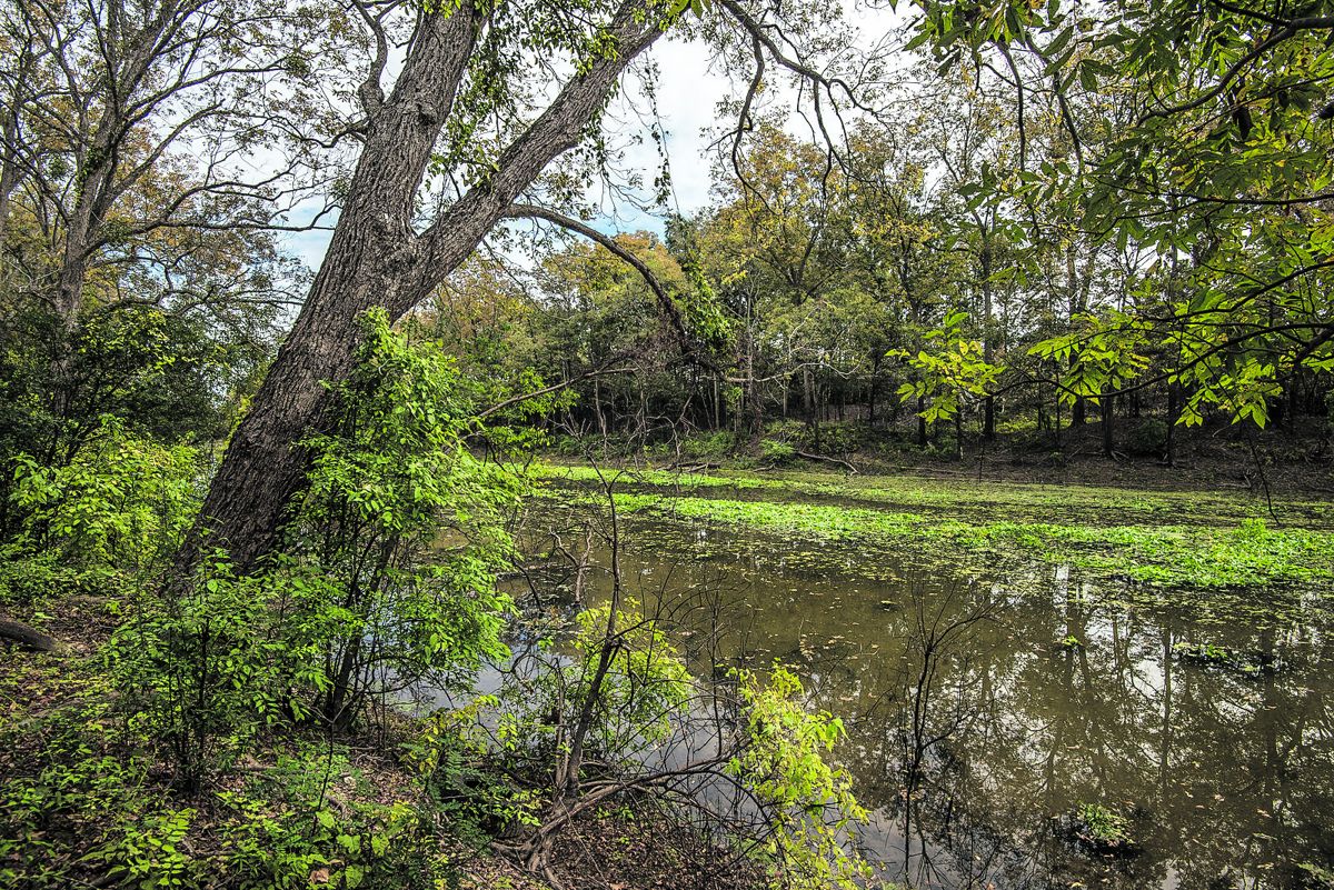 General Sherman’s defeat at Chickasaw Bayou subverted the Union’s first attempt at capturing Vicksburg. (Mike Talplacido)