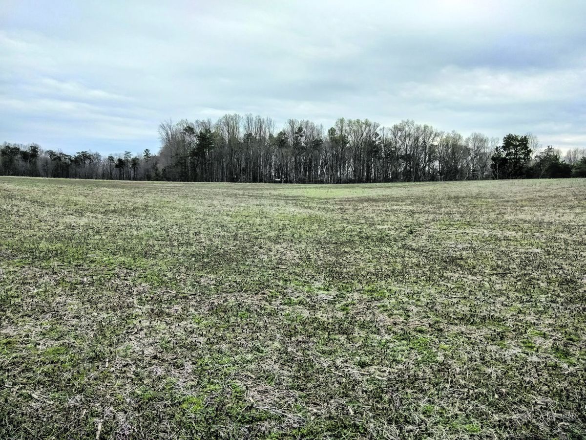 Laurel Hill looking toward the Confederate position.